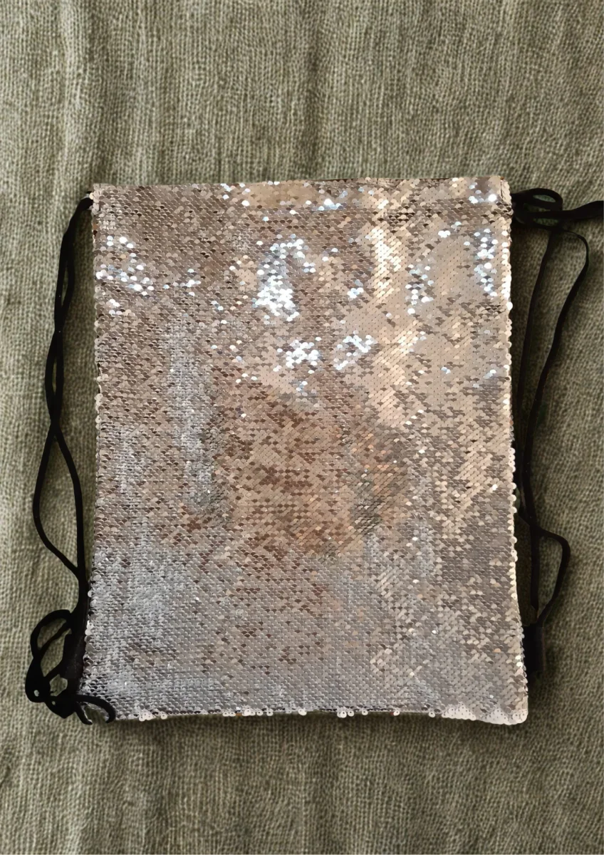 SEQUIN BAGS 4