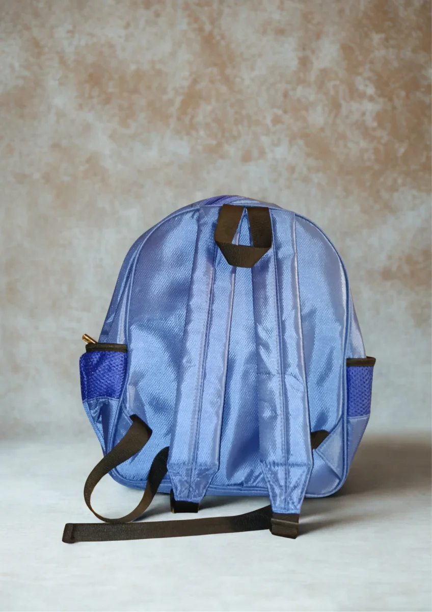 SEQUIN BAGS 6
